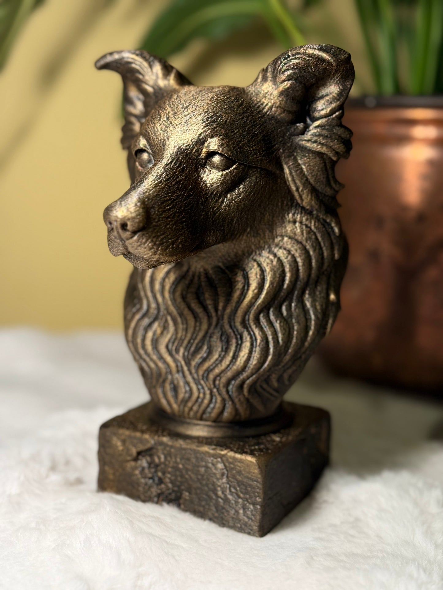Border Collie Antique Bust